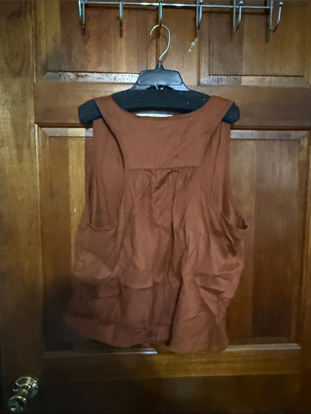 CAbi Rust Button-Front Sleeveless Tank - Picture 3 of 3